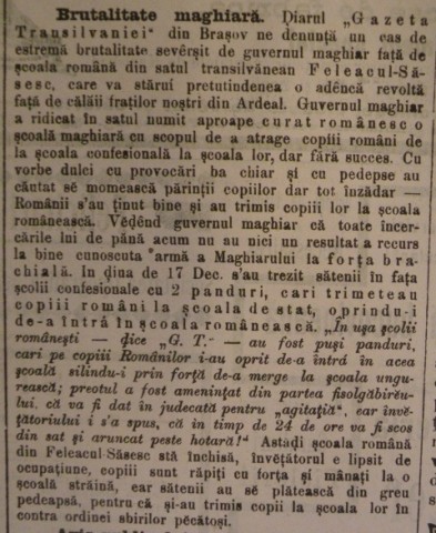 brutalitate maghiara
