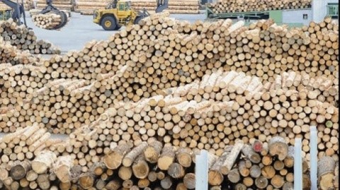 holzindustrie_78706700