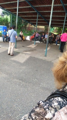 Pasaport1