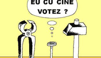 Alegeri-locale-dilema-vot