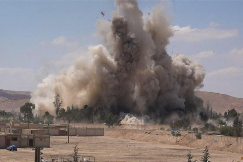 palmyra
