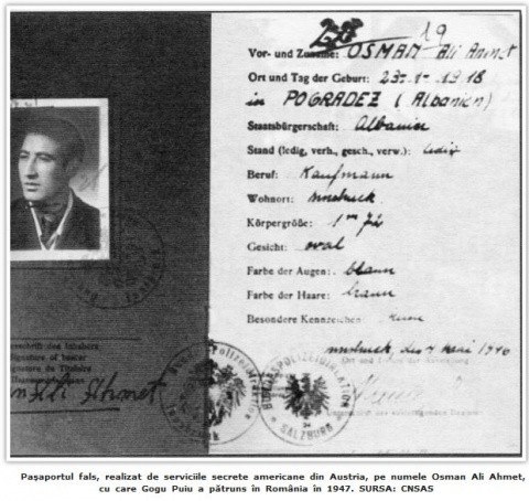 Pasaportul-Fals-al-lui-Gogu-Puiu