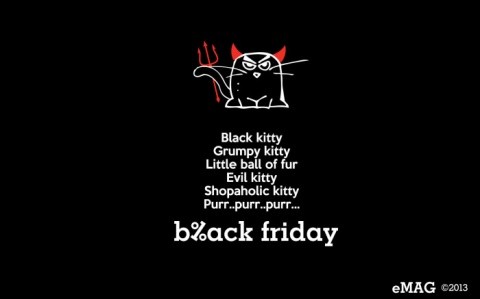 black-friday-emag-2013-wallpaper-shopaholickitty-700x437