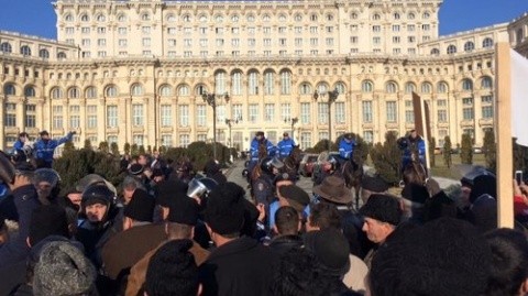 jandarmi-calare-parlament