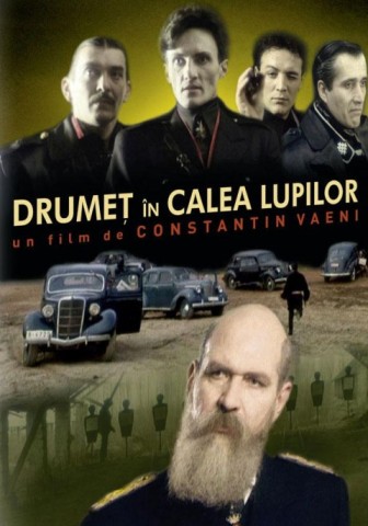 drumet-in-calea-lupilor-842392l