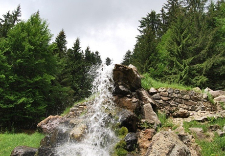 izvor
