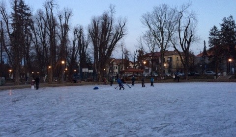 patinoar_parcul_central-4