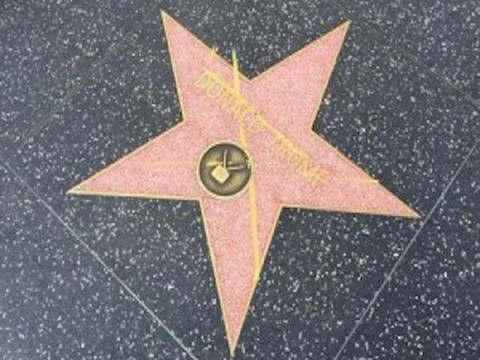 trump-hollywood-star
