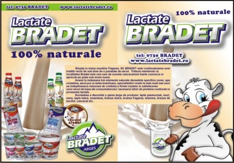 Lactate-Bradet