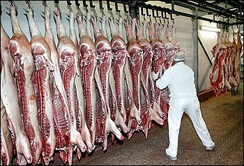 Autoritățile locale din Germania retrag carnea de porc ca să nu fie jigniți imigranții musulmani