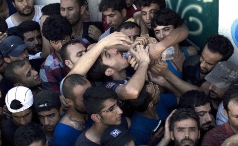 imigranti1-780x478