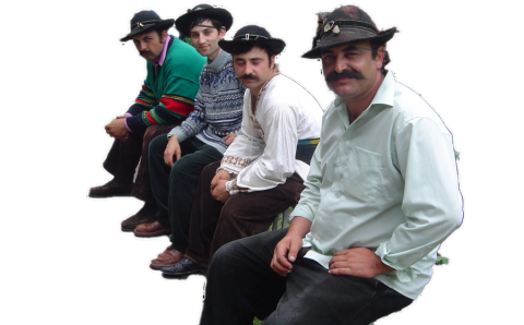 tigani
