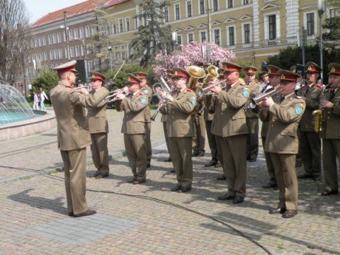 steag avram iancu cluj