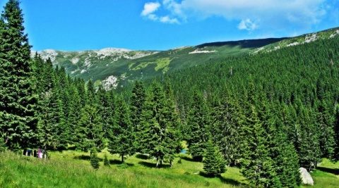 parcul-national-retezat-7-800x445