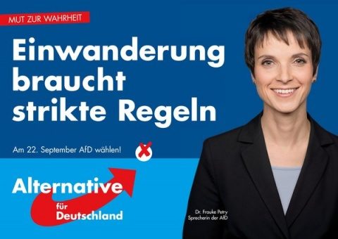 Liderul partidului radical AfD susține dreptul cetățenilor germani de a se înarma