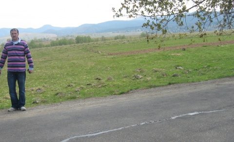 budesti