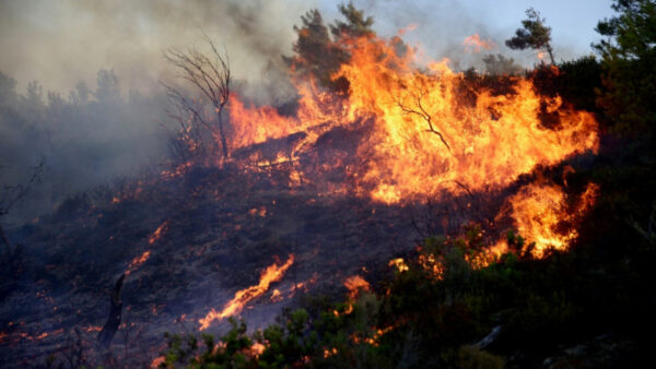 Zeci de persoane arestate în Grecia după ce au fost acuzate că au provocat incendiile. Încălzirea globală e de vină?