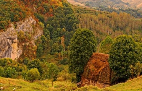 Un site rusesc face cea mai frumoasă descriere României