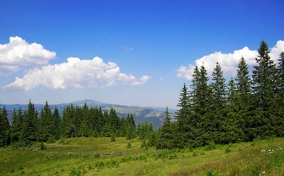 Poemul Zilei: Se vor întoarce într-o zi