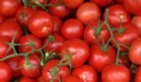 Pentru primavară, dieta cu rosii. Slăbeşti 3 kilograme în 5 zile