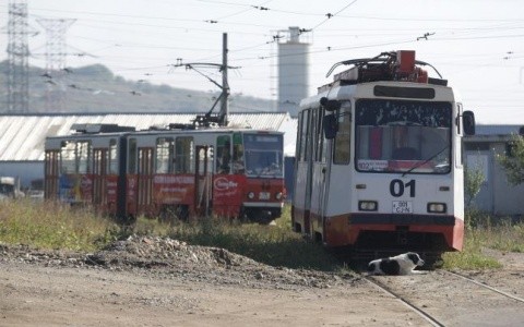 Pericol public! Tramvaie vechi de peste 20 de ani, la Cluj-Napoca