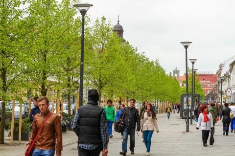 Vor fi replantaţi 162 de arbori pe strada Horea!