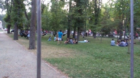 Festivalul Untold a uscat iarba din Parcul Central. Pişoare „europene” la vedere