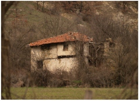 Sătui de civilizație, germanii se retrag in Bulgaria, în case darapanate, fără curent electric, și cresc… capre