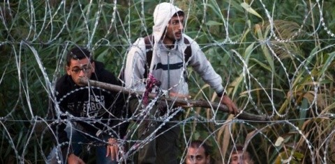 Primii imigranți au sosit – din greșeală – în România. Când au fost prinşi de grănicieri au început să pângă