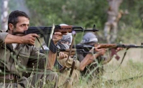 Kurzii au cerut proclamarea autonomiei în sud-estul Turciei