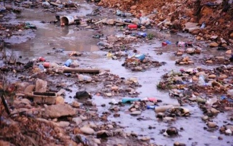 Curățenia naturii, în atenția preoților și a credincioșilor protopopiatului Năsăud