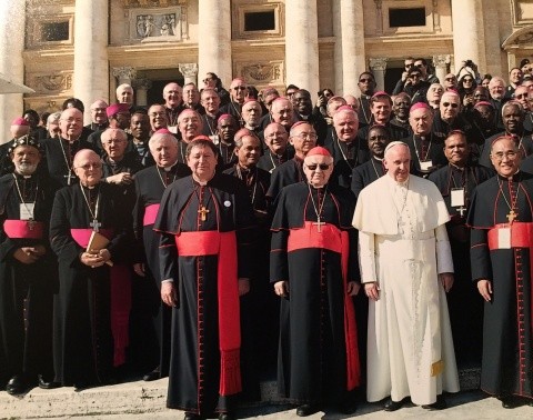 Episcopii români greco-catolici s-au întâlnit cu Papa Francisc. A participat și PS Florentin Crihălmeanu