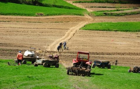 Peste 40% din pământul agricol al României a ajuns pe mâinile străinilor