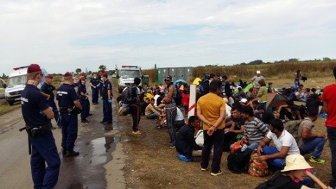 Ungaria a început construcția gardului metalic la granița cu România. Imigranții musulmani vor veni puhoi prin România