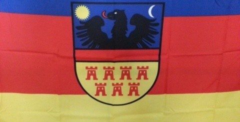 UDMR Cluj solicită explicații Jandarmeriei Române pentru acțiunea din 15 martie, de îndepărtare a steagurilor Transilvaniei