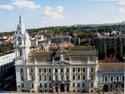 Primăria Cluj-Napoca susține cultura, sportul și ONG-urile: lansarea apelului pentru finanțări nerambursabile de la bugetul local în anul 2026