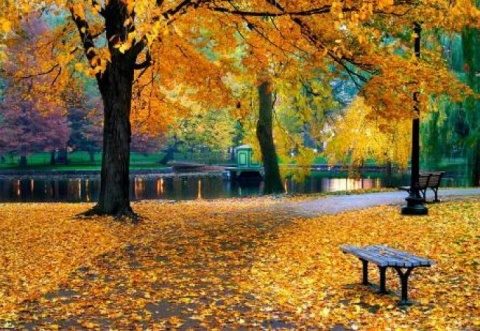 Poemul Zilei: Parcul cu ponei de plastic