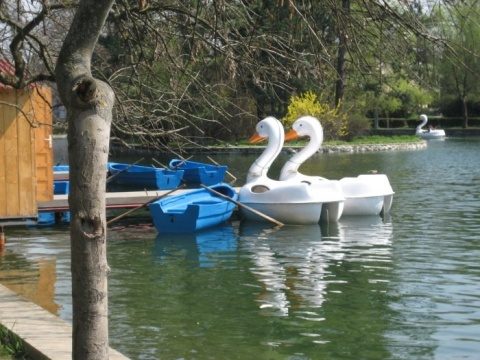 Primăria Cluj-Napoca a deschis sezonul plimbărilor cu ambarcațiuni pe lacurile Chios și Gheorgheni