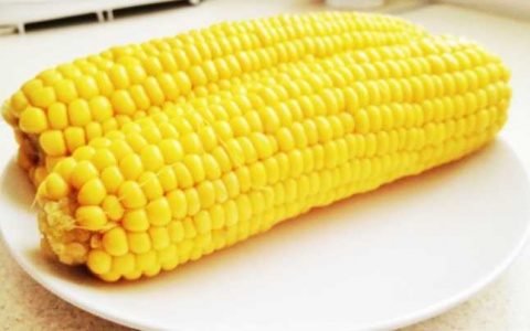 Ungaria contra-atacă:  porumbul din Ucraina este contaminat