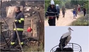 Militarii francezi aliați de la Babadag au provocat un incendiu devastator: sute de hectare au ars și o stână a fost distrusă, zeci de animale arzând de vii. Periculoși pe timp de pace