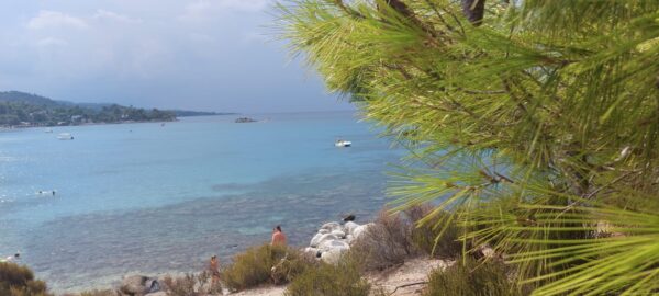Poemul Zilei: Isla Beach