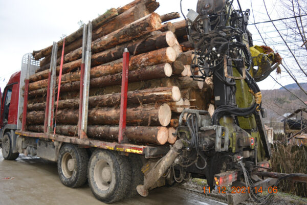 Clujean prins cu camionul plin de lemne, fără acte