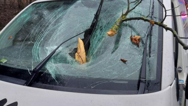 Copac căzut pe Aleea Clăbucet. Cod portocaliu la Cluj-Napoca