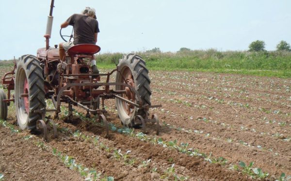 Revin mirosurile infecte la Cluj-Napoca. Prefectura răspunde utopic la sesizările clujenilor. Agricultura e de vină?