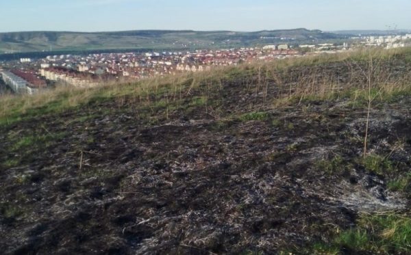 Incendiu în Floresti. Vegetație uscată arsă