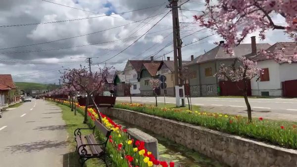 Cluj-Napoca şi satul Sâncraiu se află în competiţia Destinaţia Anului 2024