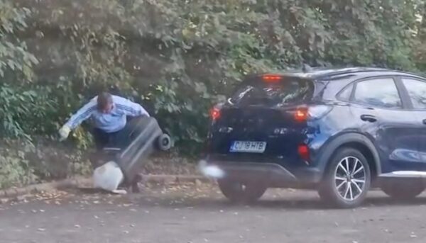 Bărbat din Bistrița amendat cu 12.000 lei. A părăsit un câine într-un tomberon de gunoi