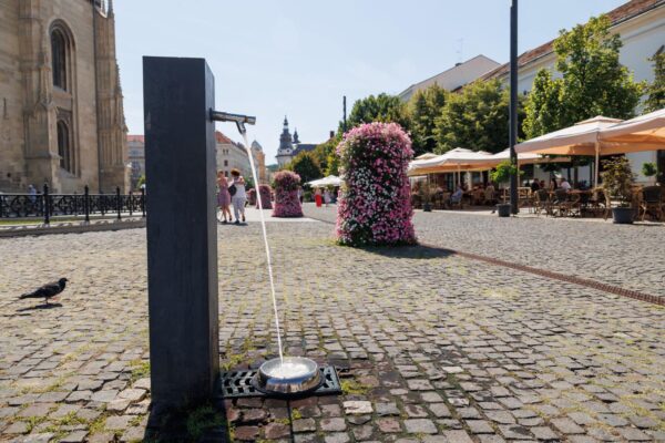 Boluri de apă pentru animalele de companie la cișmelele publice din Cluj-Napoca