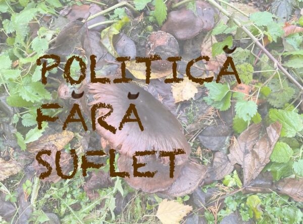 Politică fără suflet