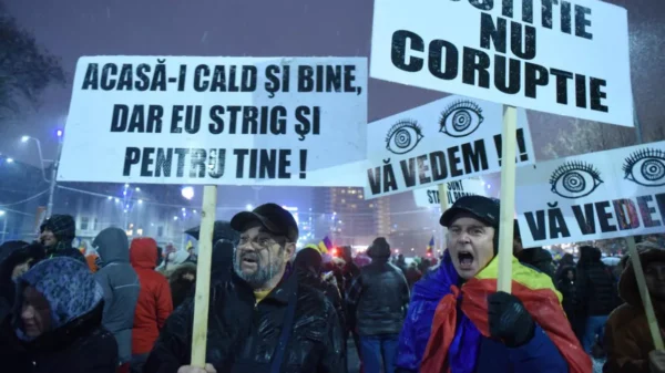 Vulpea m-a furat și-n Pădure m-a luat! Pisica salvează-mă!